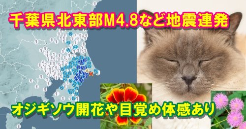 Photo post from nmomose.