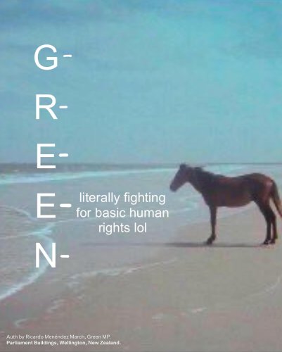 Carousel post from nzgreenparty.