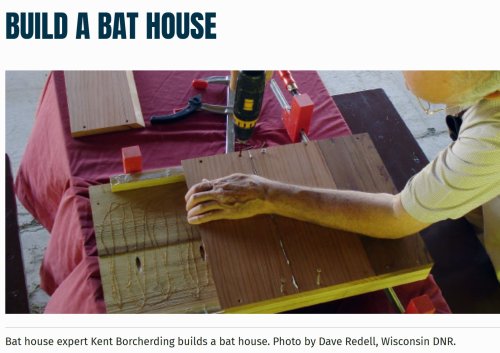 Photo post from mississippi_valley_conservancy.