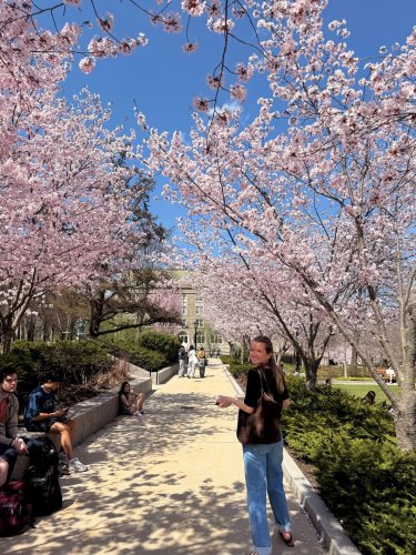 Photo post from bostoncollege.