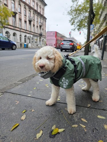 Carousel post from mong_oxy.