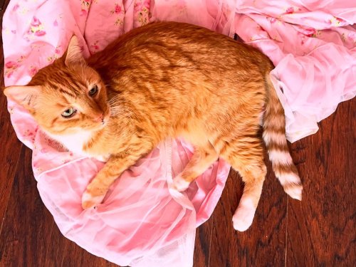 Carousel post from margaritabloom.