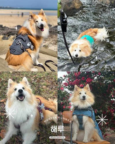 Photo post from hurttakorea.