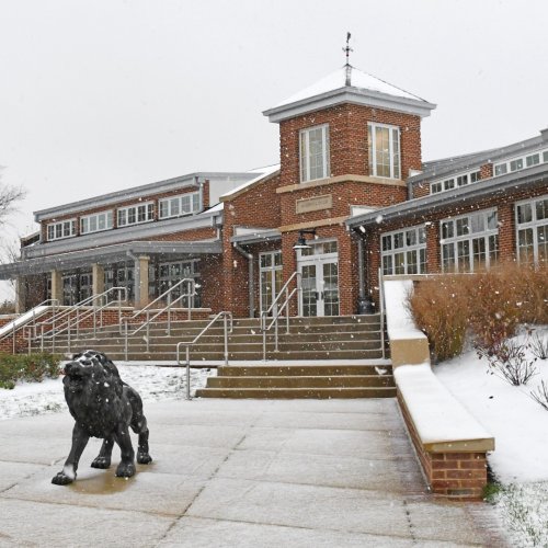 Photo post from saeslions.