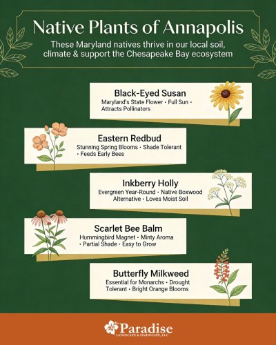 Photo post from paradisescapes.