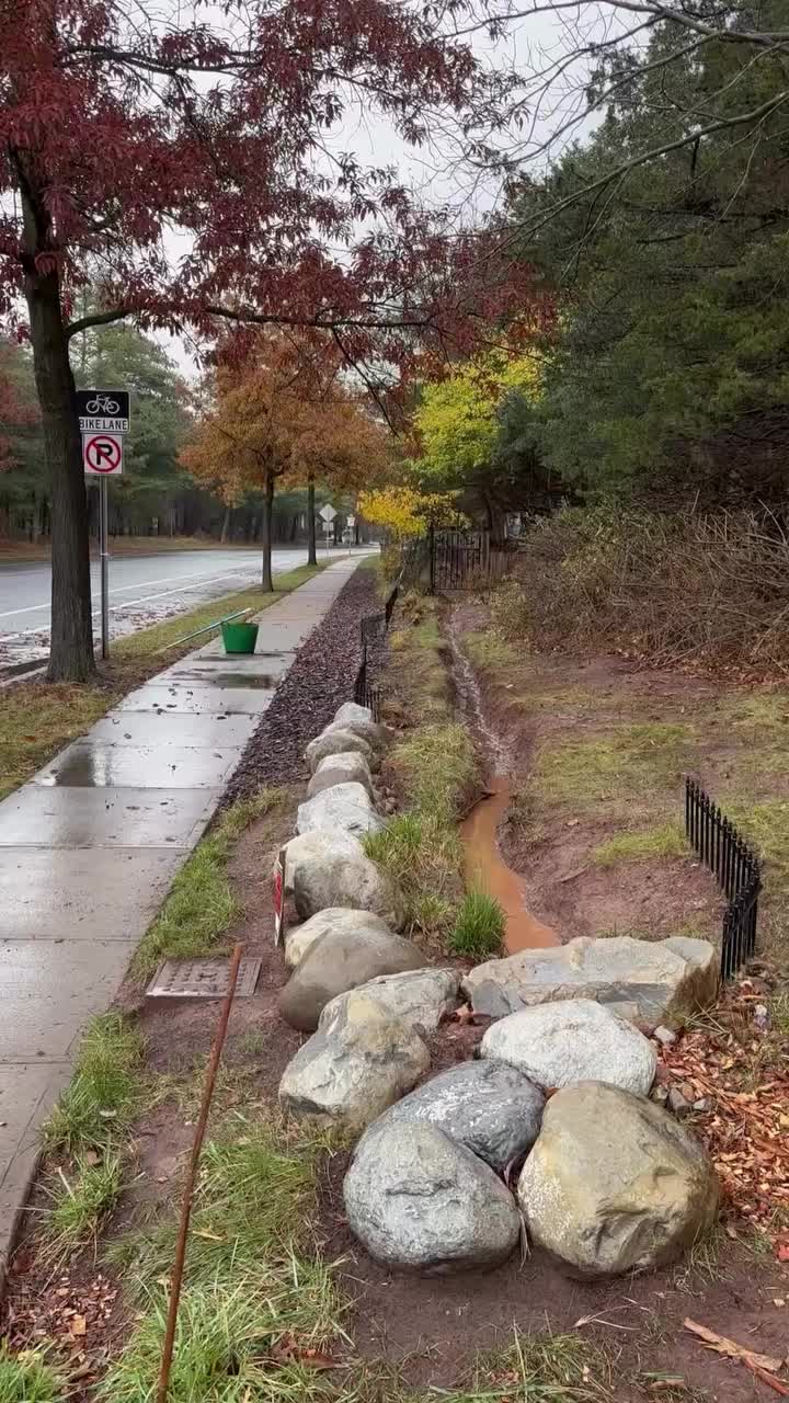 Video post from mireade2025.