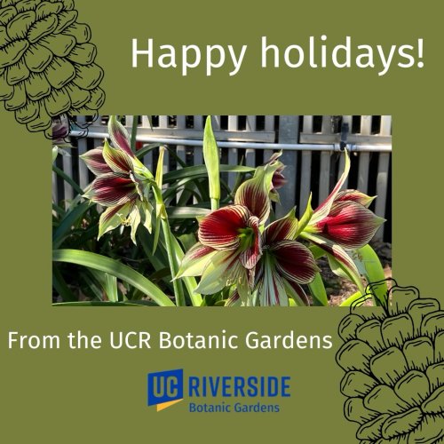 Photo post from ucrbotanicgardens.