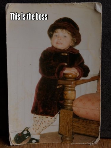 Carousel post from toast_flyford.