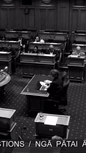 Video post from nzgreenparty.