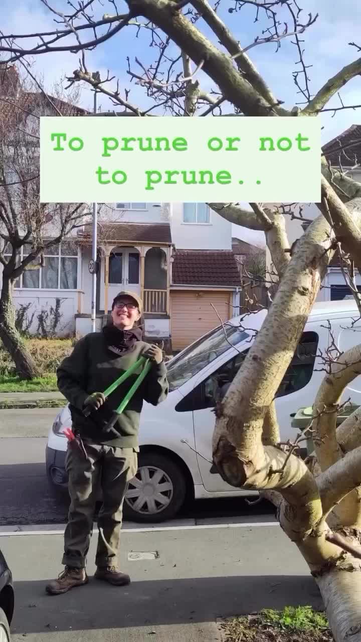 Video post from ange_greenheart.