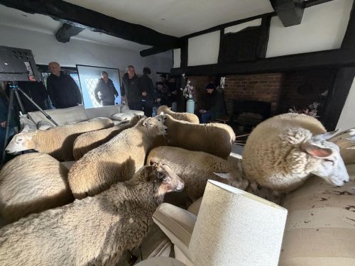 Photo post from saltfilm_locations.