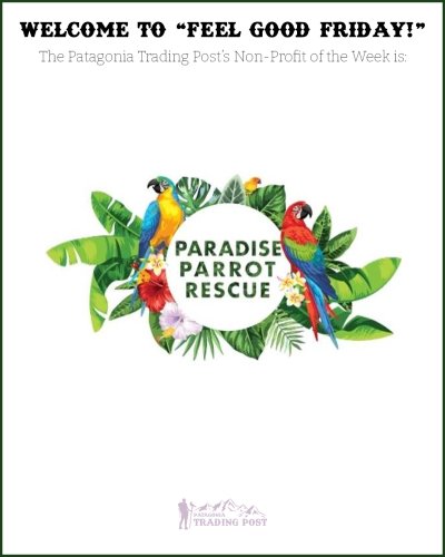 Photo post from patagoniatradingpost.
