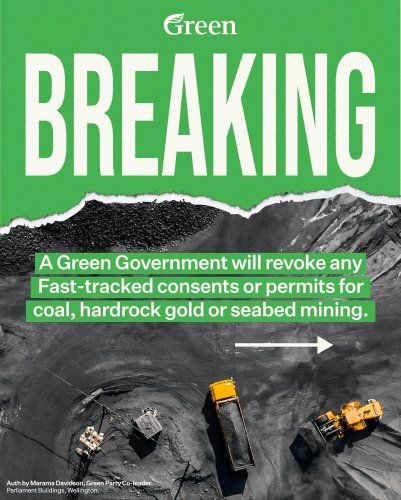 Carousel post from nzgreenparty.