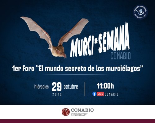 Photo post from conabiomx.