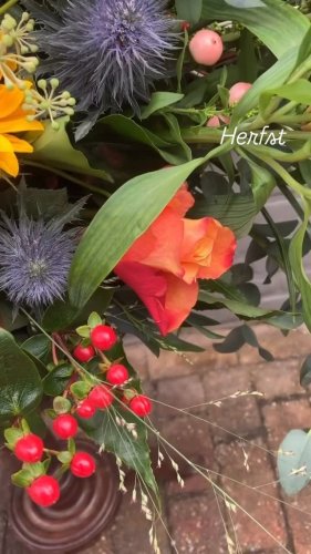 Video post from dellemannbloemen.