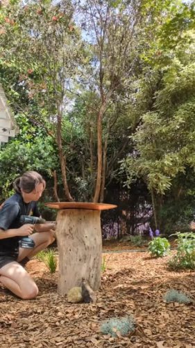 Video post from protealandscapes.