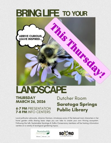 Photo post from hummiejo.