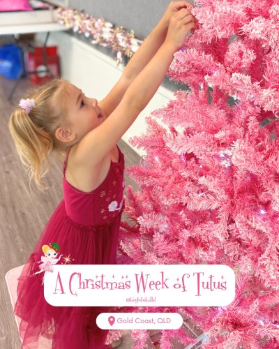 Carousel post from tinytutusballet.