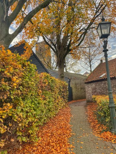 Photo post from visitoirschot.