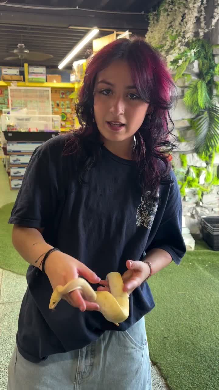 Video post from njexoticpets.