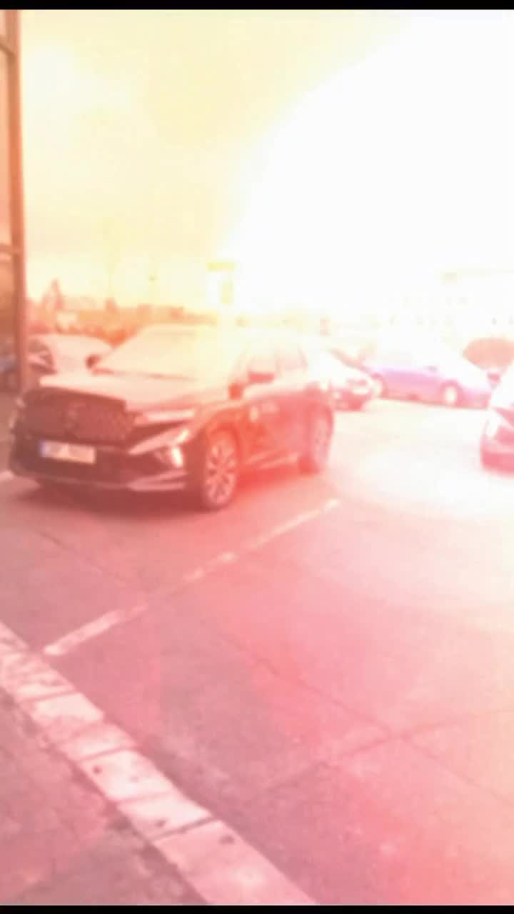 Video post from petr.svancara.