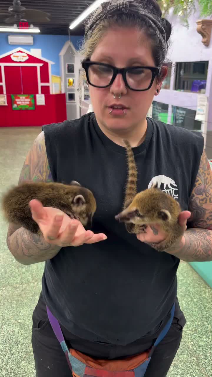 Video post from njexoticpets.