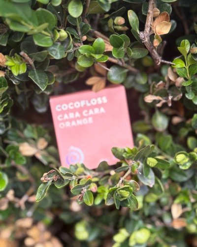 Photo post from trilliumdental.