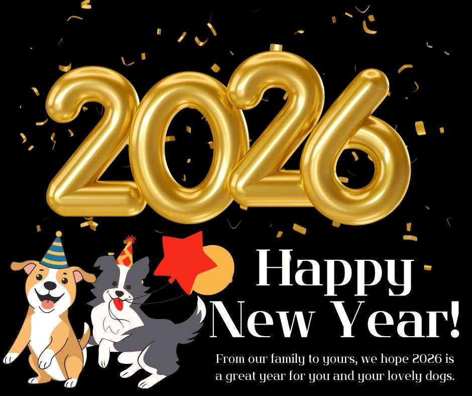 Photo post from pawstrading.