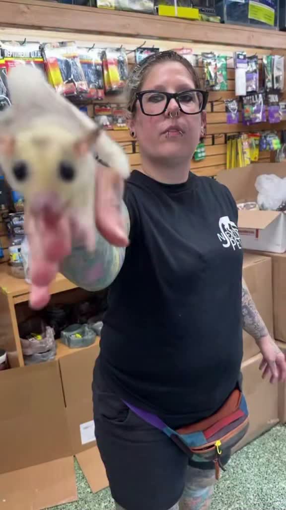 Video post from njexoticpets.