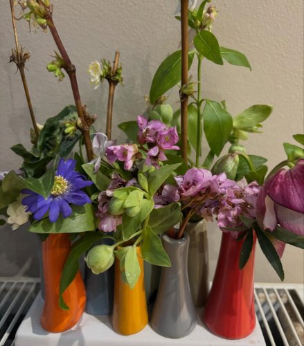 Photo post from gardenhousebrighton.