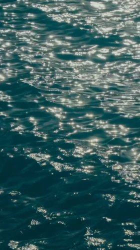 Video post from nokumaldives.