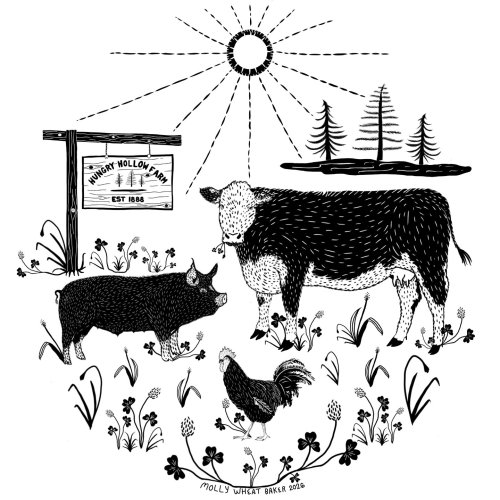 Photo post from hungryhollowfarm.