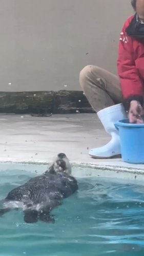 Video post from masamin01.