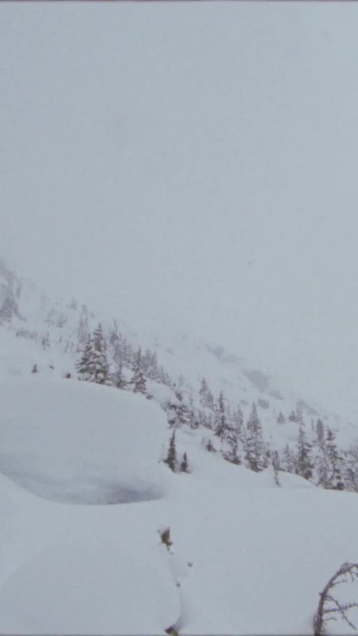 Video post from gnusnowboards.