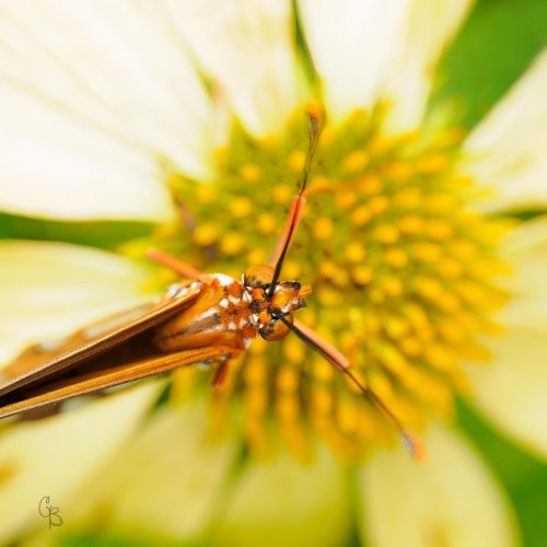 Photo post from texas_pixels.