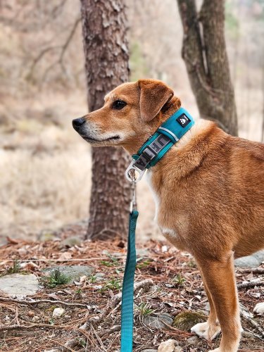 Carousel post from gwang_gwang_2_ne.