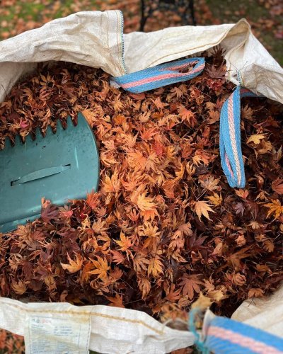 Carousel post from grow_naturally_norfolk.