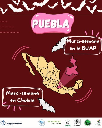 Carousel post from murcisemana_oficial.