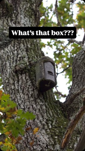 Video post from naturewithholly.