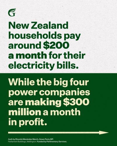 Carousel post from nzgreenparty.