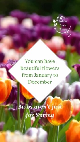 Video post from discovering_gardens.