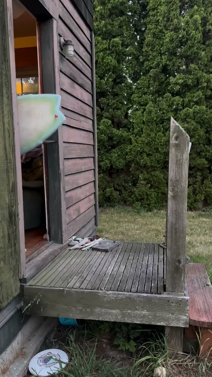 Video post from libtechsurf.