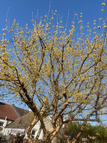 Photo post from gardenhousebrighton.