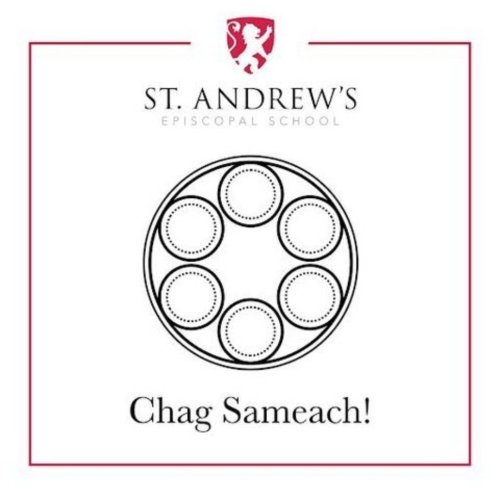 Photo post from saeslions.