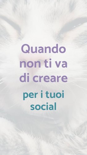 Video post from camillaripani.