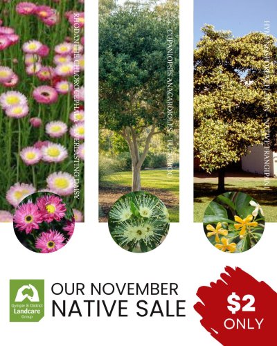 Photo post from gympielandcare.