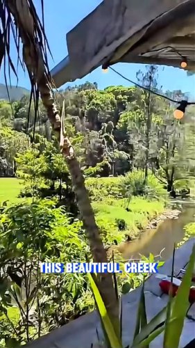 Video post from currumbinvalleyharvest.