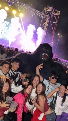 Video post from torrejonjoven.