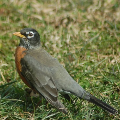 Photo post from thebeeandbee042608.