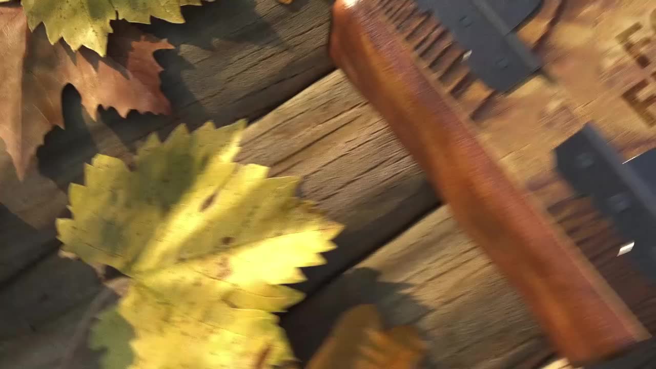 Video post from pakfightspolio.